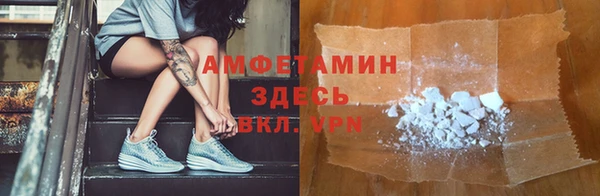 сатива Новозыбков