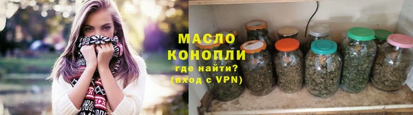 гашик Няндома