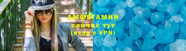 сатива Новозыбков
