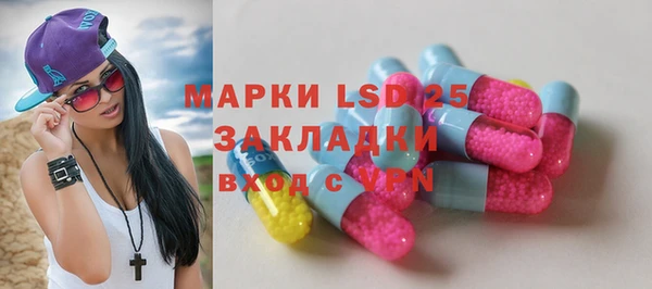 гашик Няндома