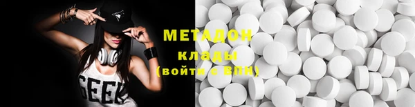 сатива Новозыбков