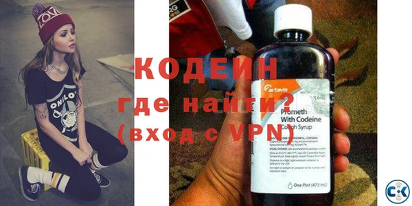 гашик Няндома