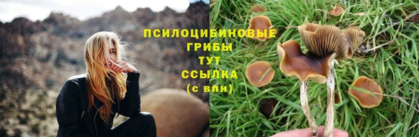 2c-b Нягань