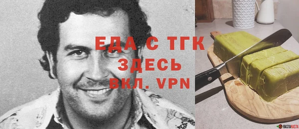 сатива Новозыбков