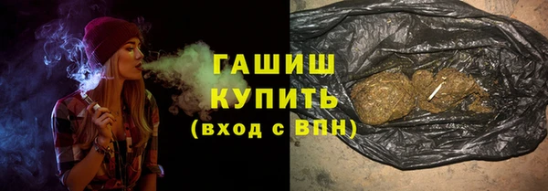 гашик Няндома