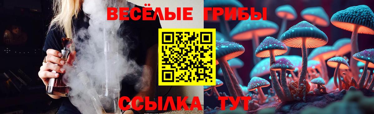Менделеевск  Галлюциногенные грибы Psilocybine cubensis  Вход с VPN 